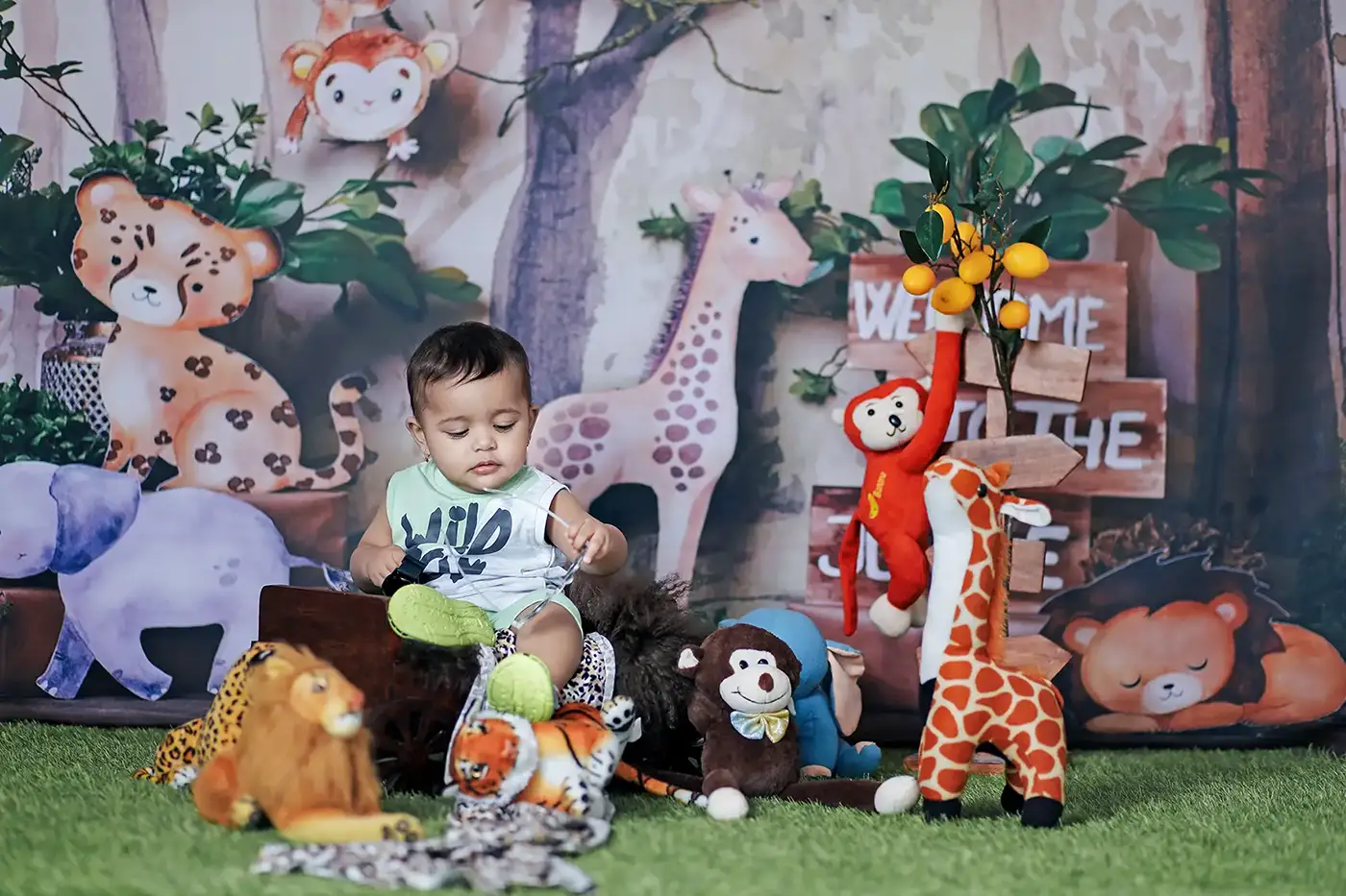https://dx21q3b76hjv4.cloudfront.net/images/new/themes/the-jungle-book/baby-photoshoot-near-me.webp