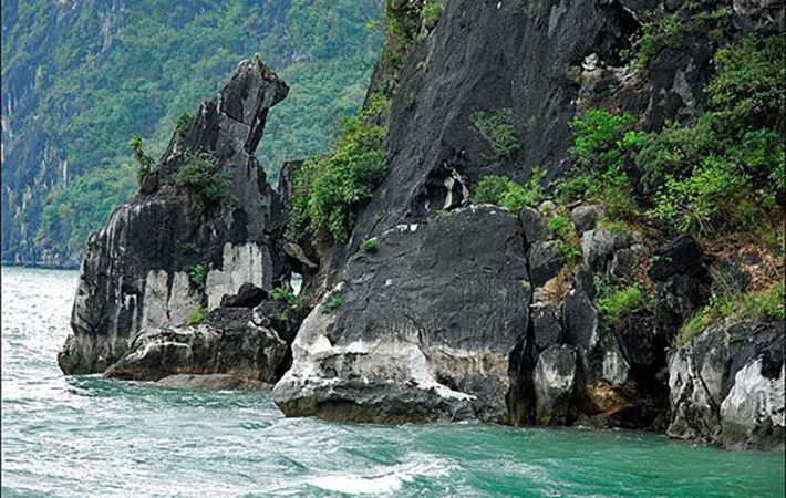 Hòn Chó Đá, chú chó bằng đá ngộ nghĩnh | Review Hạ Long