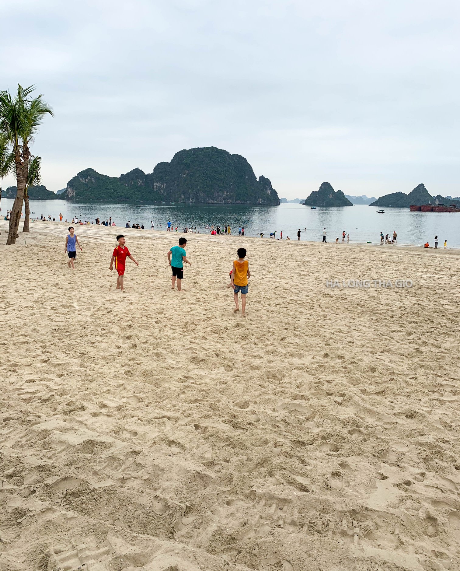 Khai trương bãi tắm Hòn Gai, thêm một địa điểm tắm biển thả ga ở Hạ Long |  Review Hạ Long